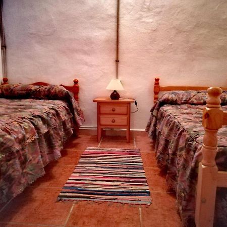 El CedroCasa La Montana别墅 外观 照片