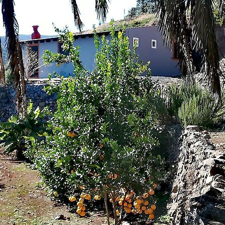 El CedroCasa La Montana别墅 外观 照片