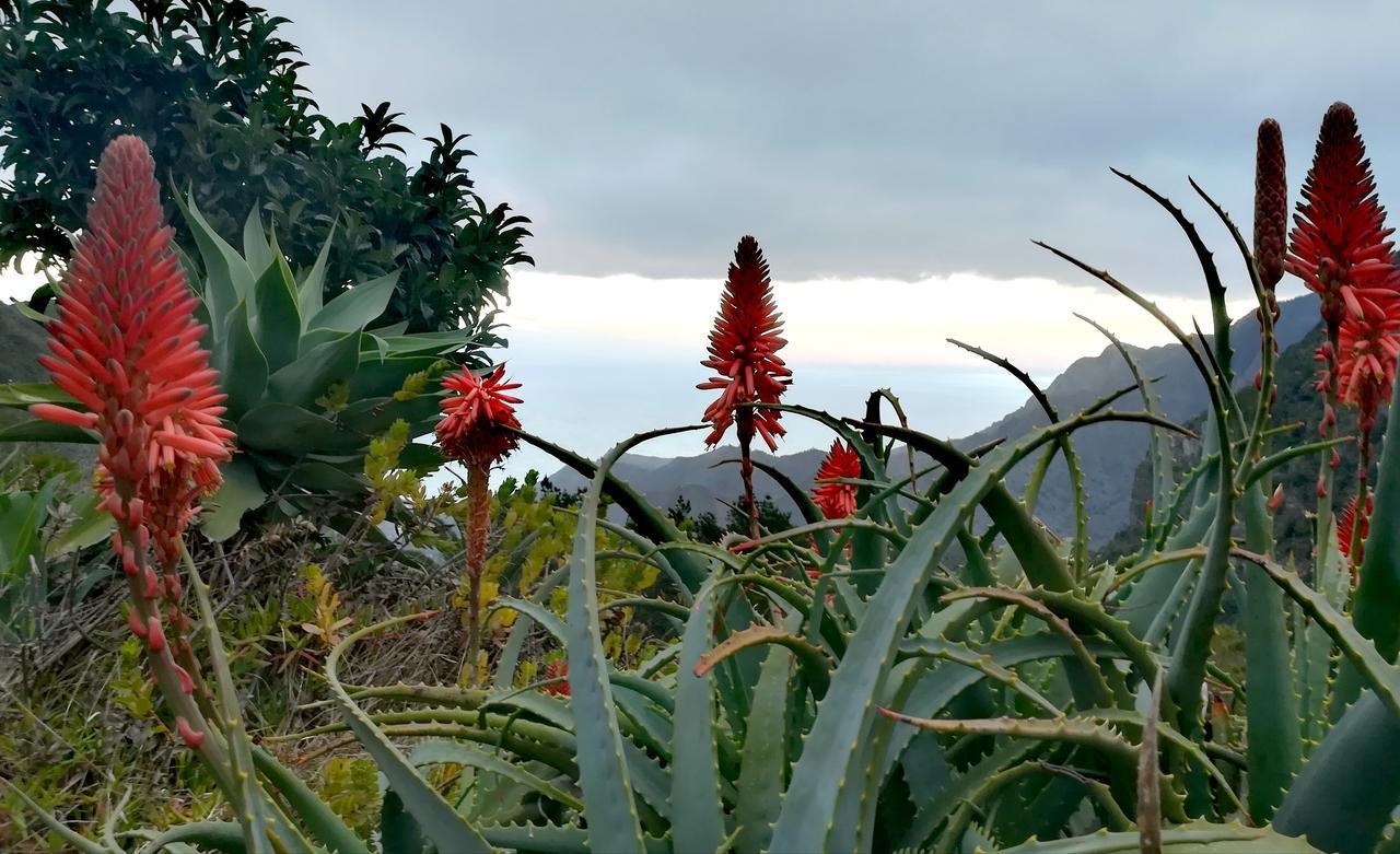 El CedroCasa La Montana别墅 外观 照片