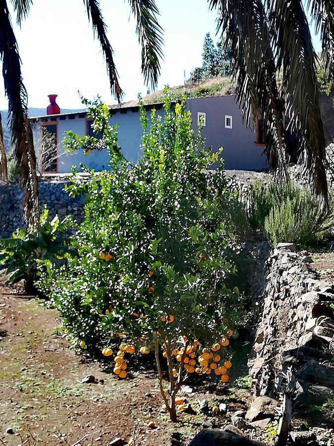 El CedroCasa La Montana别墅 外观 照片